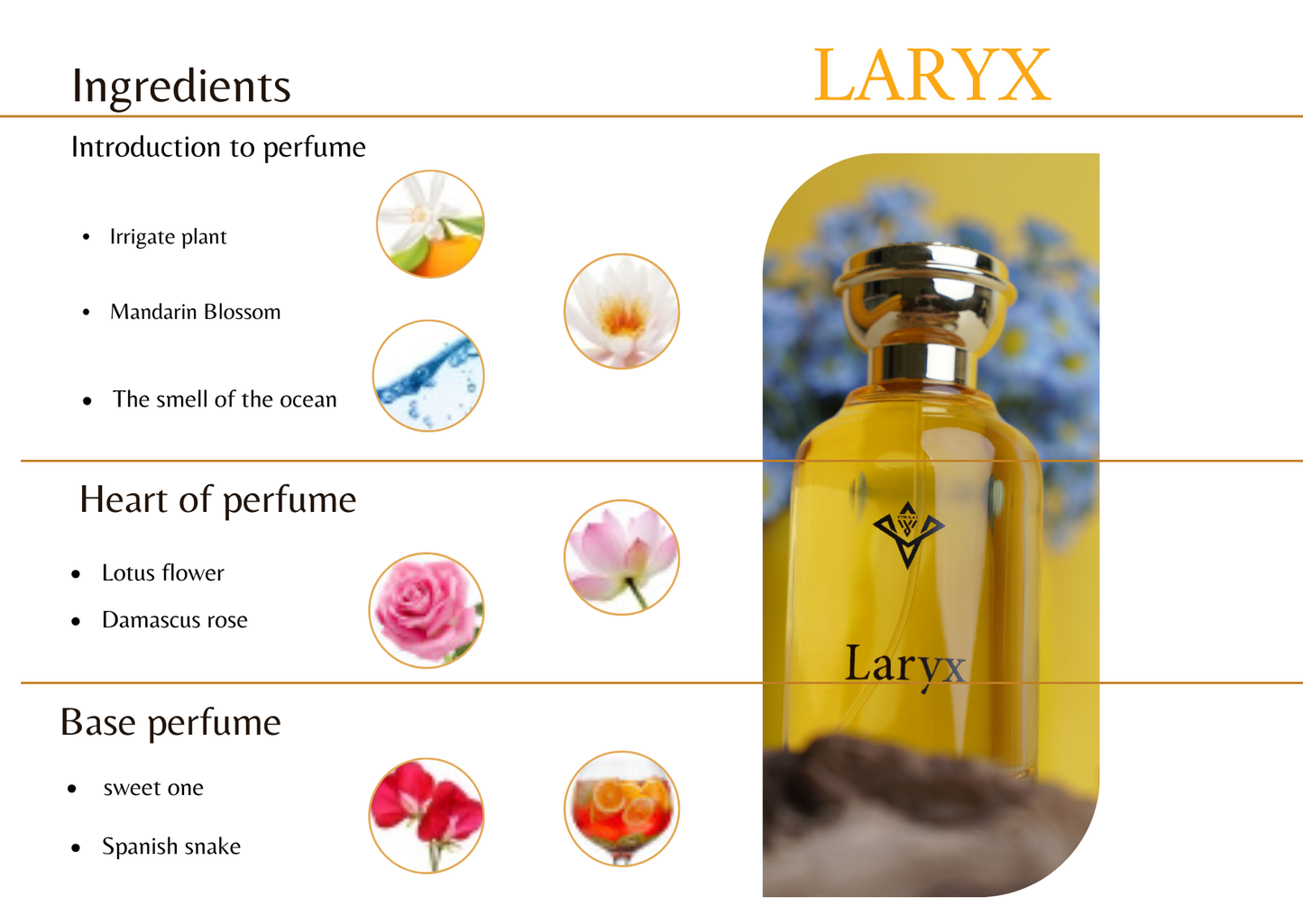 LARYX 100ml